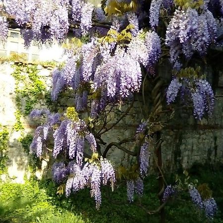 Villa Osmanthus Віченца Екстер'єр фото
