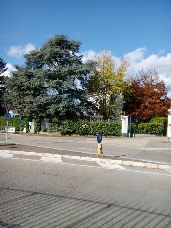 Villa Osmanthus Віченца Екстер'єр фото